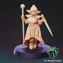 Goblin Adventurer - Style A - Pose 4 - Only-Games