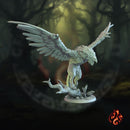 Griffin