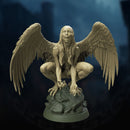 Harpy
