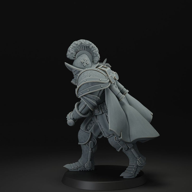 Heavy Infantry