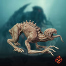 Hound of Tindalos