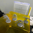 ZEPHYRR V1 - 40mm Base - Only-Games