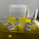 ZEPHYRR V1 - 40mm Base - Only-Games