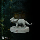 Thala, baby Triceratops