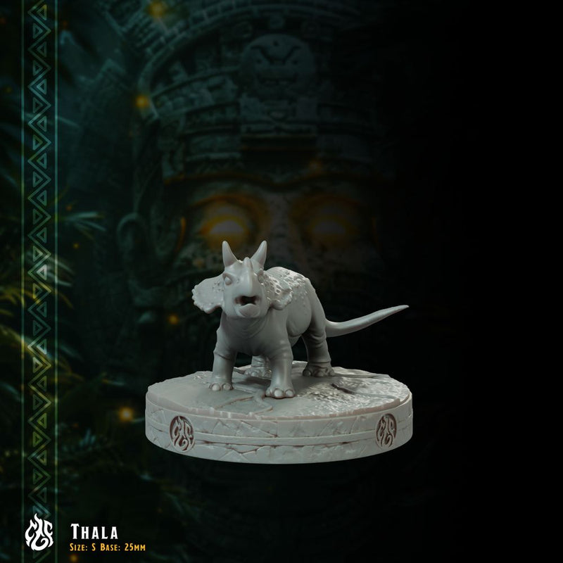 Thala, baby Triceratops