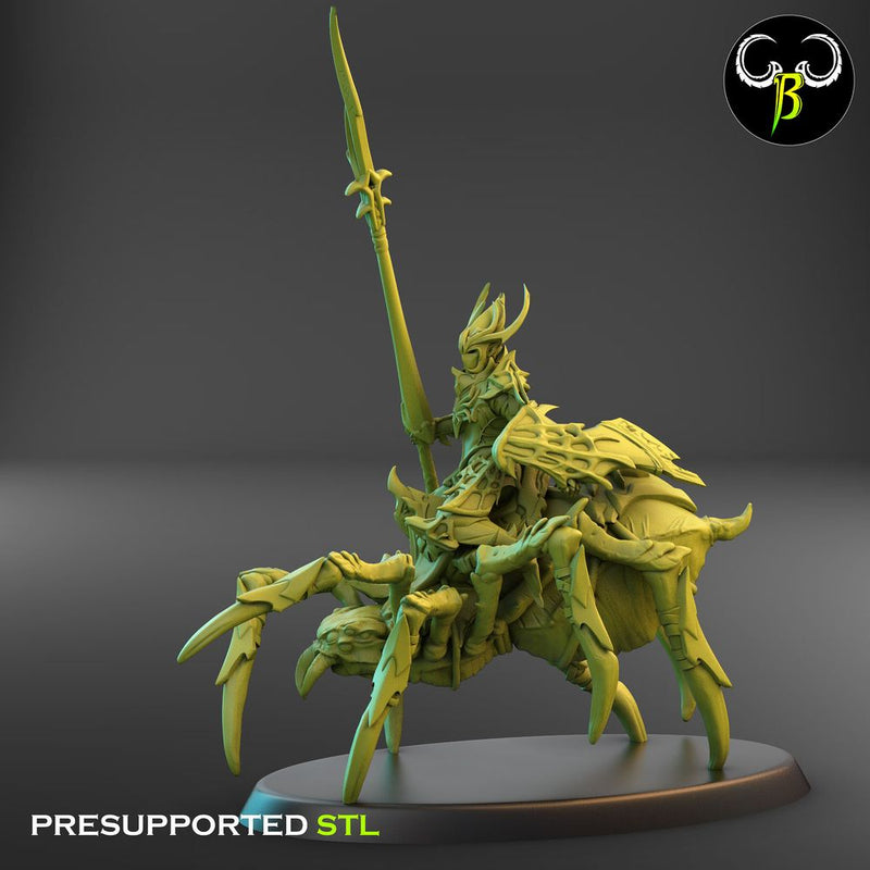 Knight of the Eight Squad