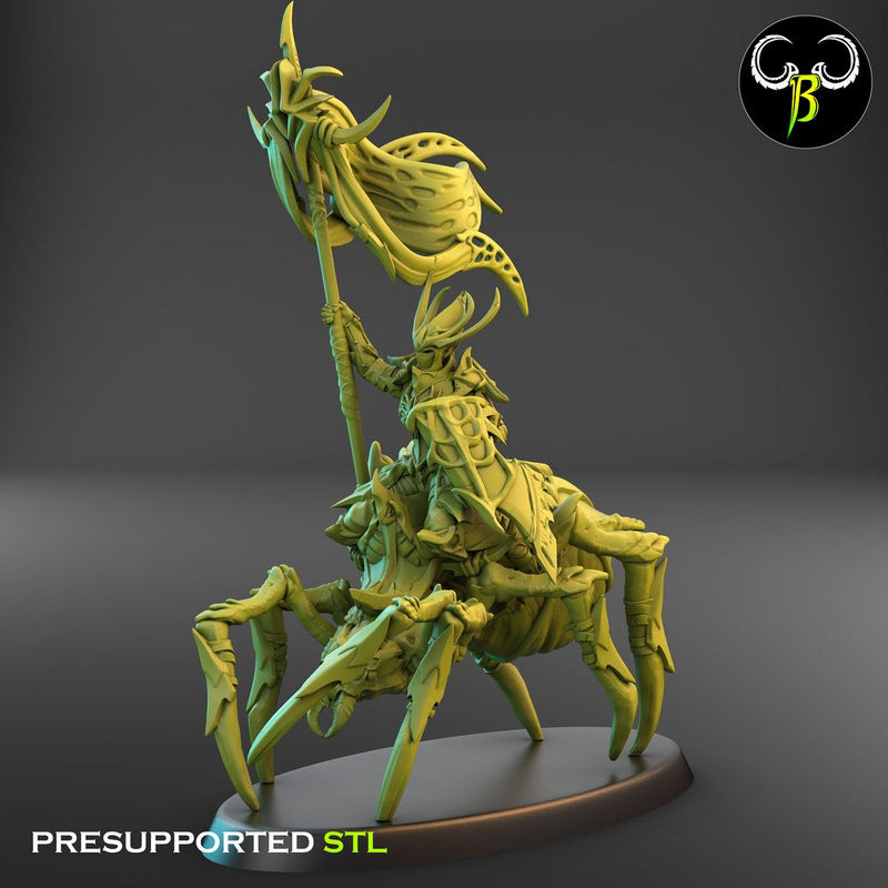 Knight of the Eight Squad