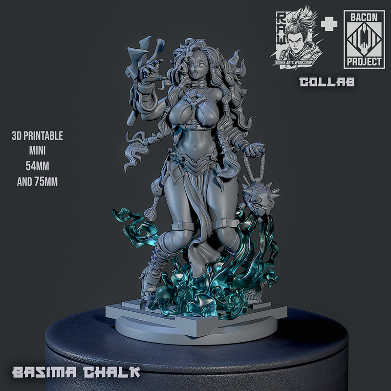 Basima Chalk - Shaman Priestess - STL only - Only-Games