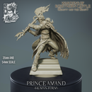 Prince Amand - Beast in Human Form - Beauty and the Beast - STL only - Only-Games