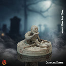 Crawling Zombie