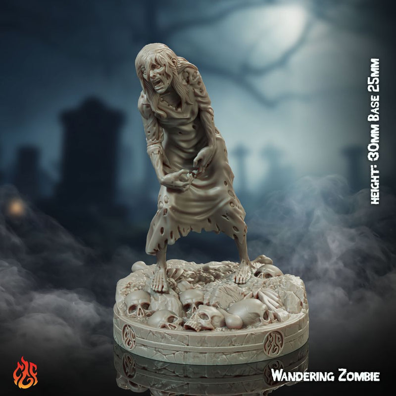 Wandering Zombie