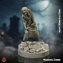 Wandering Zombie