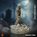Wandering Zombie