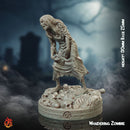 Wandering Zombie