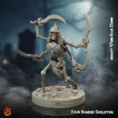 Four Armed Skeleton