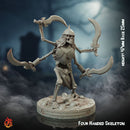 Four Armed Skeleton