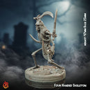 Four Armed Skeleton