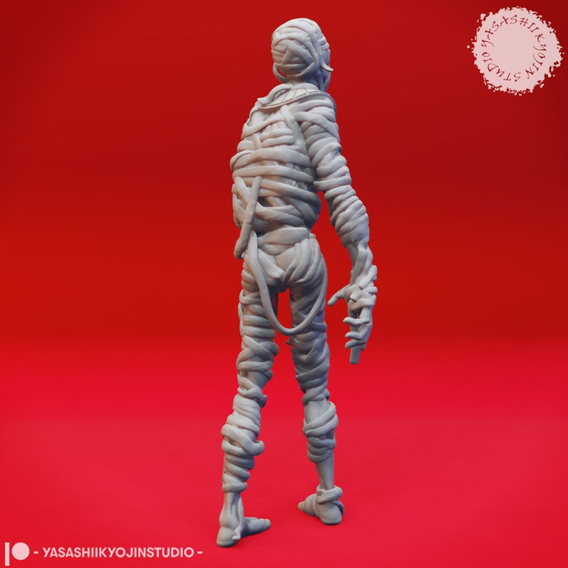 Shambling Mummy  - Tabletop Miniature (Pre-Supported)