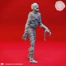 Shambling Mummy  - Tabletop Miniature (Pre-Supported)