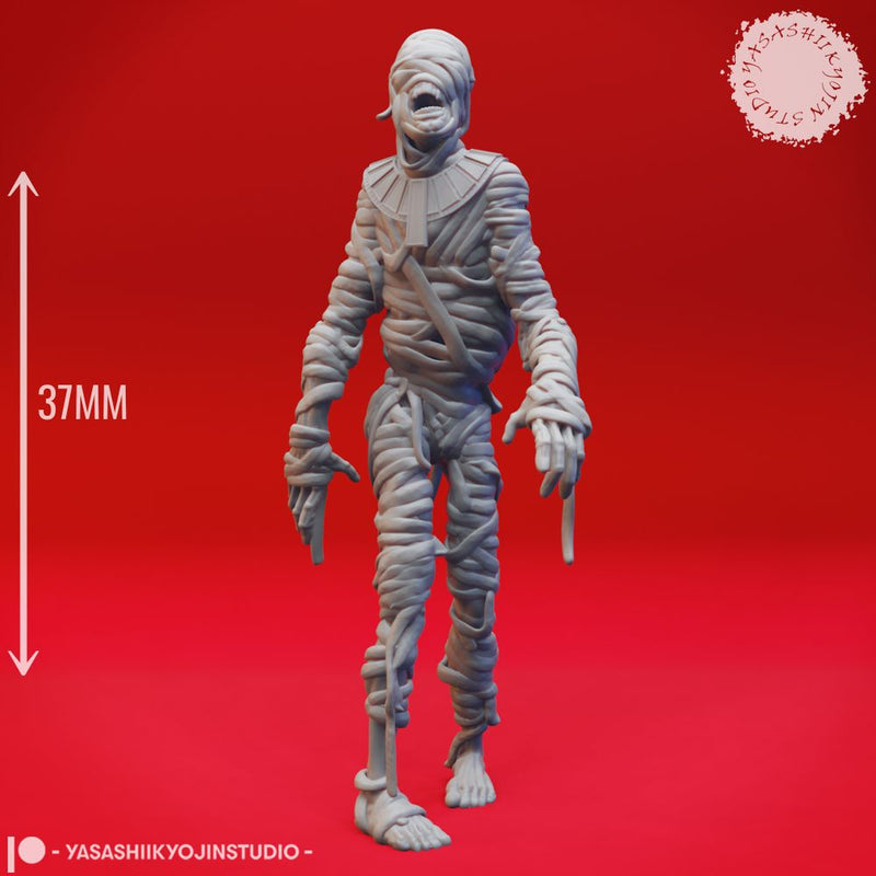 Shambling Mummy  - Tabletop Miniature (Pre-Supported)