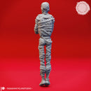 Laying Mummy  - Tabletop Miniature (Pre-Supported)