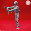 Shuffling Mummy  - Tabletop Miniature (Pre-Supported)