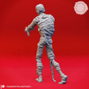 Shuffling Mummy  - Tabletop Miniature (Pre-Supported)