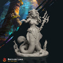 Nautilion Lamia