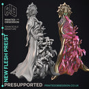 New Flesh Preist - Horror Monster -  PRESUPPORTED - Illustrated and Stats - 32mm scale