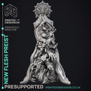 New Flesh Preist - Horror Monster -  PRESUPPORTED - Illustrated and Stats - 32mm scale