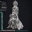 New Flesh Preist - Horror Monster -  PRESUPPORTED - Illustrated and Stats - 32mm scale