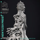 New Flesh Preist - Horror Monster -  PRESUPPORTED - Illustrated and Stats - 32mm scale