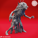 Night Hag - Tabletop Miniature (Pre-Supported)