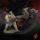 Ogre Cannoneers