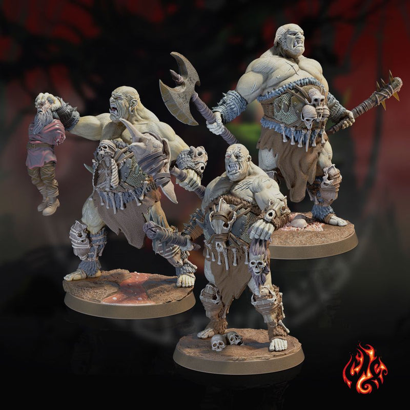 Ogre Warriors