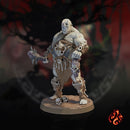 Ogre Warriors