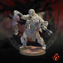 Ogre Warriors