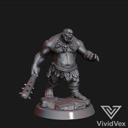 Ogres 1 (2 weapon poses) - Only-Games