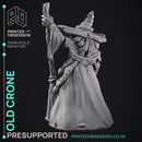 Old Crone - Witch -  PRESUPPORTED - Illustrated and Stats - 32mm scale