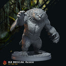 Forest Owlbears