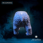 Polar Bear - A - Only-Games