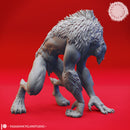 Stalking Quaggoth - Tabletop Miniature (Pre-Supported)
