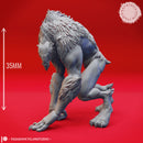 Stalking Quaggoth - Tabletop Miniature (Pre-Supported)