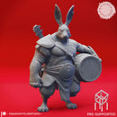 Rabbitfolk Bard-barian - Tabletop Miniature (Pre-Supported)