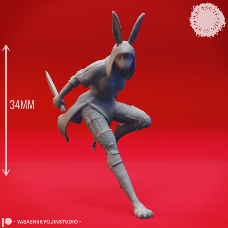 Rabbitfolk Rogue - Tabletop Miniature (Pre-Supported)