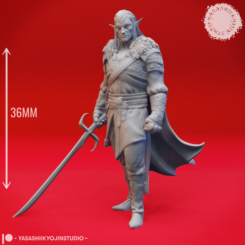 Rahadin - Dusk Elf Chamberlain - Tabletop Miniature (Pre-Supported)