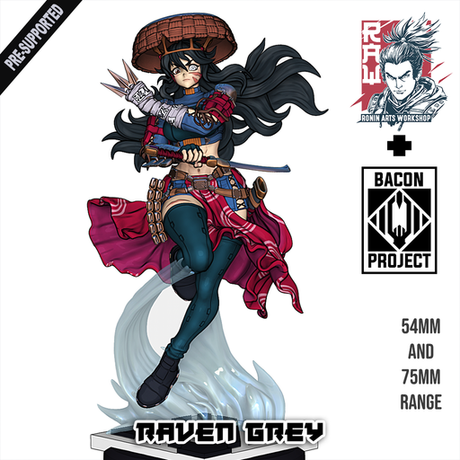 Raven Grey - Female Ronin - STL only - Only-Games
