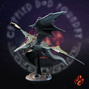Reaver Star Lancers