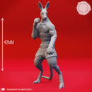 Roo-folk Fighter - Tabletop Miniature (Pre-Supported)