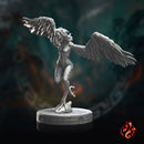 Dread Harpies